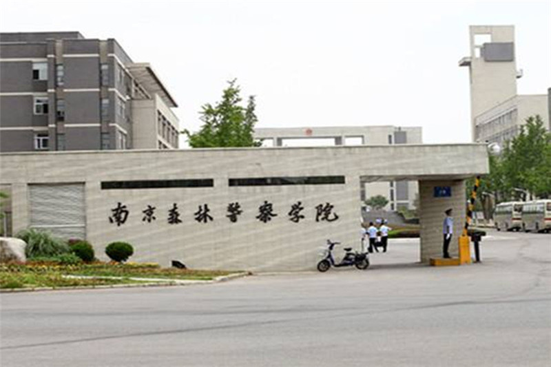 案例展示